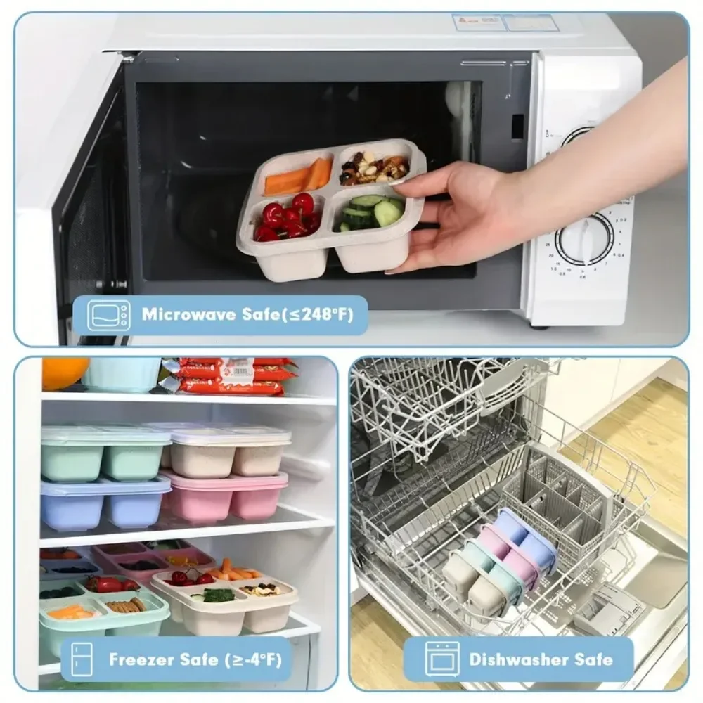 กล่องขนมขบเคี้ยว4ช่องสำหรับเด็ - Meal Prep Meal Ideas บทวิจารณ์และราคา